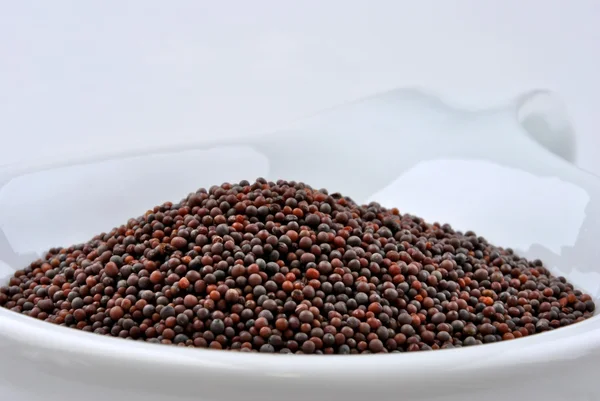 Brown mustard seeds — Stock Photo, Image
