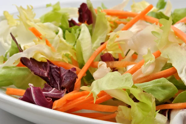 Fresh organic salad — Stock Photo, Image