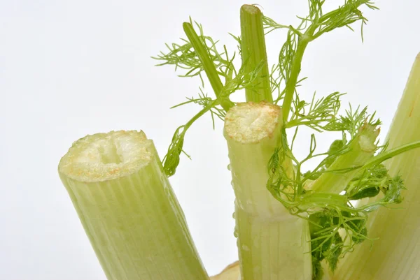 Organic fennel — Stock Photo, Image
