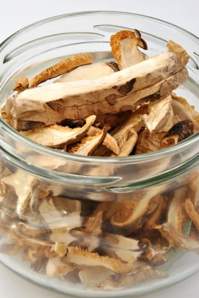 Dried wild porcini mushroom — Stock Photo, Image