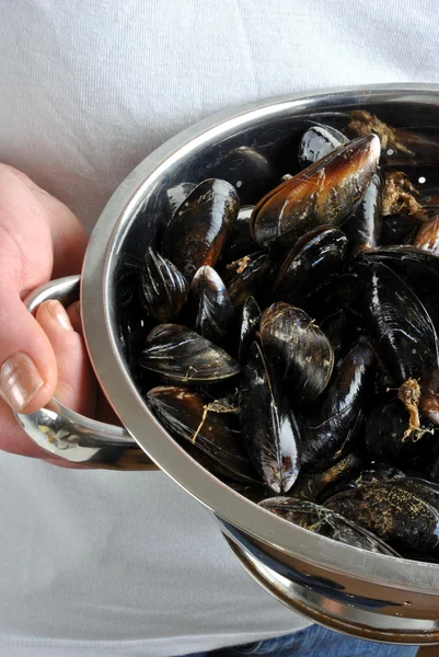 Some fresh and organic mussel — Stock Photo, Image