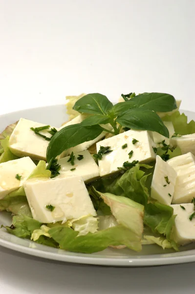 Některé organické feta sýr — Stock fotografie