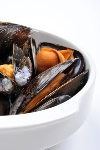 Cooked organic mussel — Stock Photo, Image