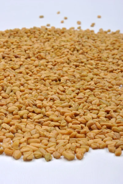 Alcuni semi di fieno greco biologico — Foto Stock
