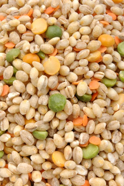 Soup mix, barley, lentil, split pea — Stock Photo, Image