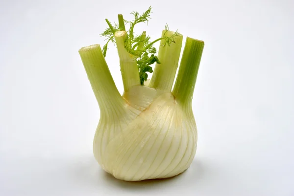 Organic fennel — Stock Photo, Image