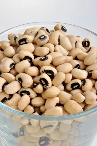 Organic black eyed beans — Stock Photo, Image