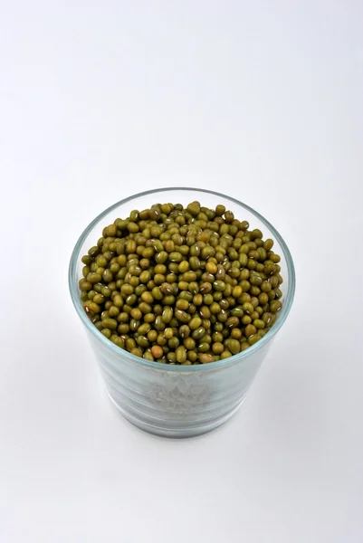 Organické mung fazole — Stock fotografie