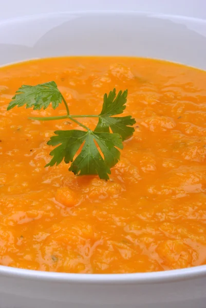 Stock image Butternut squash creme soup