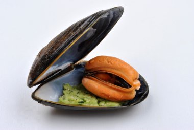 Cooked fresh organic mussel clipart