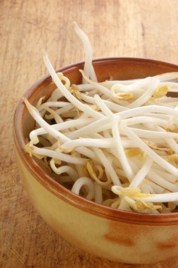 bazı organik beansprouts