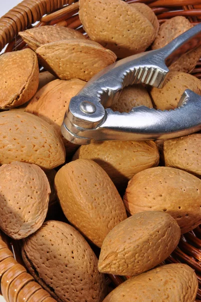 Almonds and a nutcracker — Stock Photo, Image