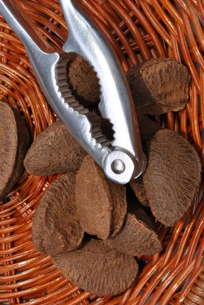 Brazil nuts and a nutcracker — Stock Photo, Image