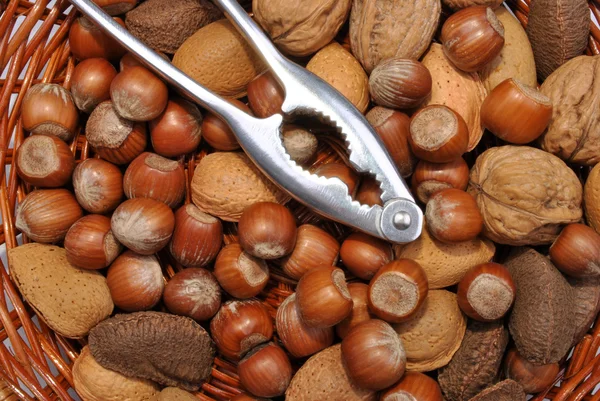 Some organic nuts — Stock Photo, Image