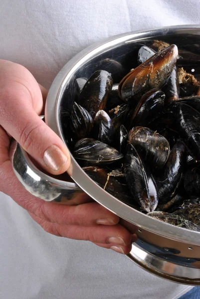 Some fresh and organic mussel — Stock Photo, Image