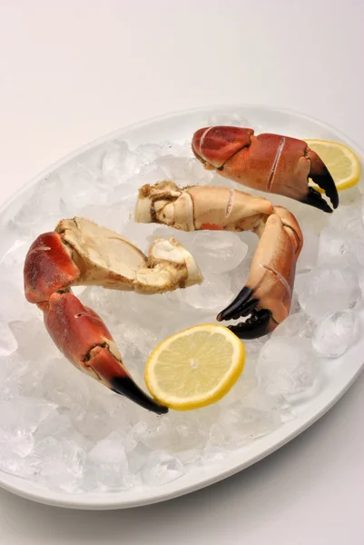 Pinces de crabe bio fraîches — Photo