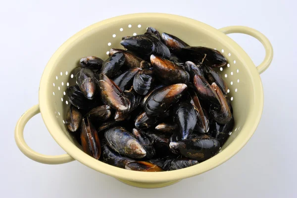 Mussel before preparation — Stock Photo, Image