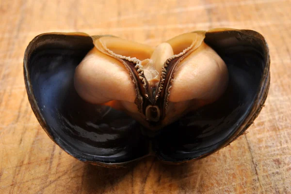 C organic mussel ready to eat — Stock Photo, Image