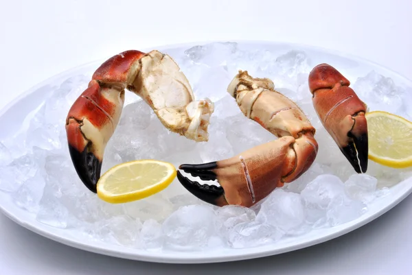 Pinces de crabe bio fraîches — Photo