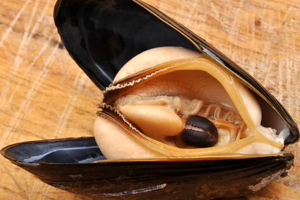 Organic mussel — Stock Photo, Image