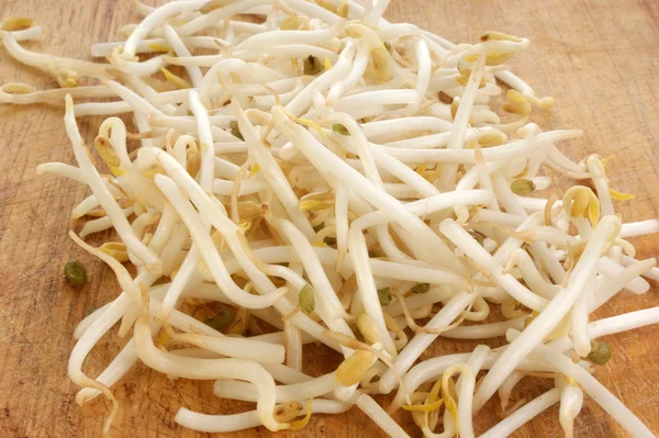 stock image Some organic beansprouts