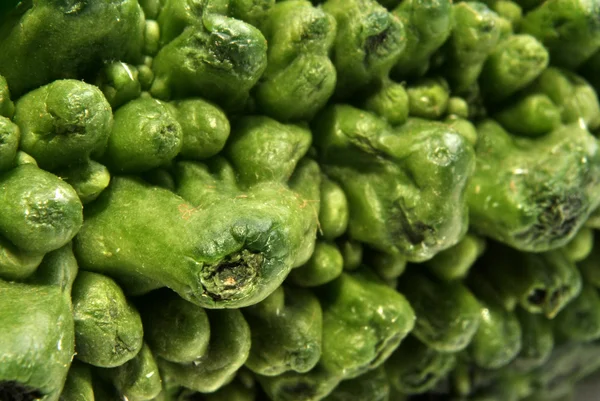 Fresh organic karela — Stock Photo, Image