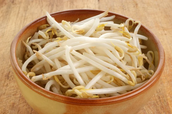 Některé organické beansprouts — Stock fotografie