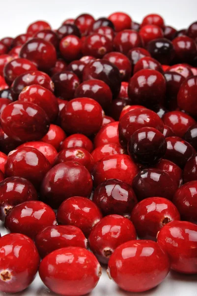 Verse en biologische cranberry — Stockfoto