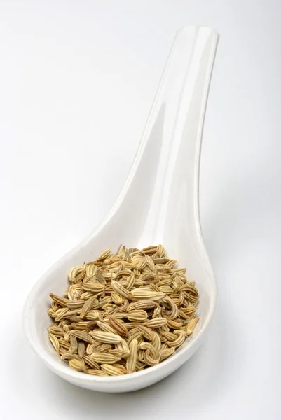 Some organic caraway seed — Stock Photo, Image