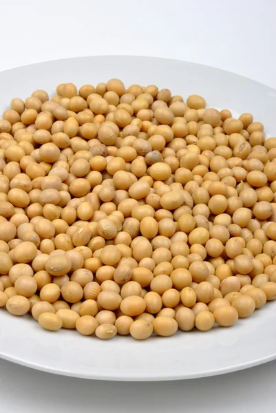 Organic soya beans — Stock Photo, Image