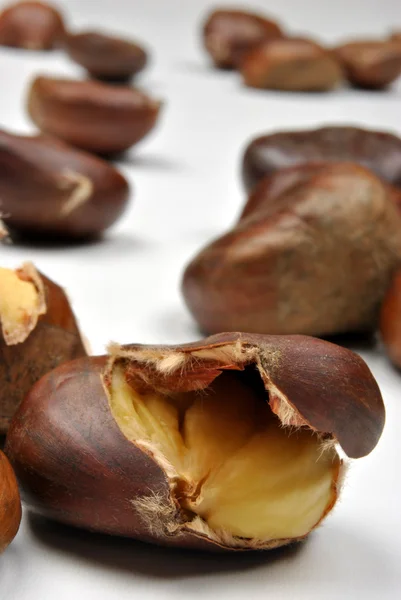 Öppna ekologisk sweet chestnut — Stockfoto