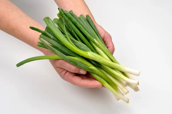 Prepare and hold organic spring onion — Stock Photo, Image