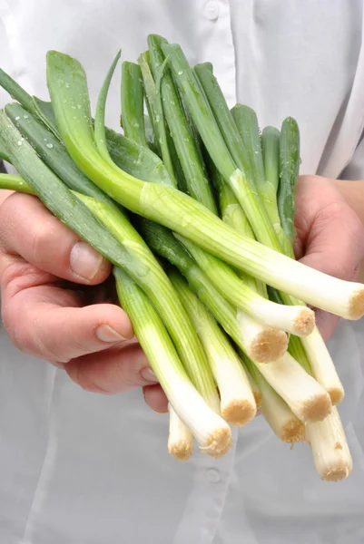 Prepare and hold organic spring onion — Stock Photo, Image