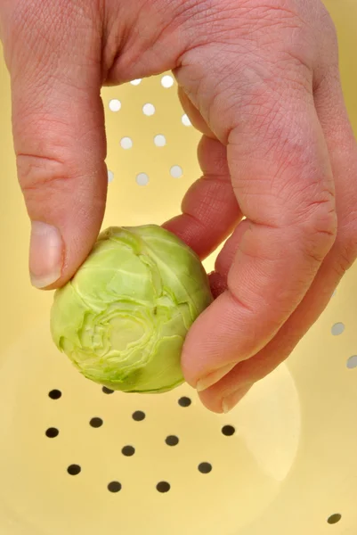 新鲜和健康的布鲁塞尔芽菜 — 图库照片
