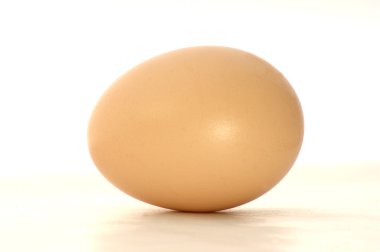 bir tavuk yumurta