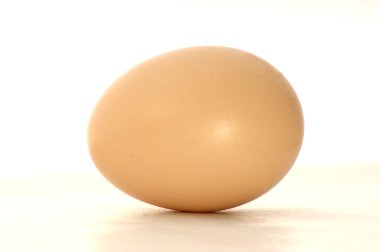 One chicken egg clipart