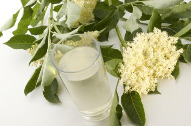 bir cam ev yapımı elderflower şurubu