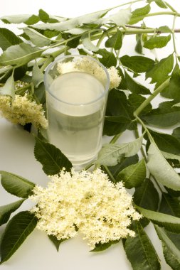 Homemade elderflower-syrup in a glass clipart