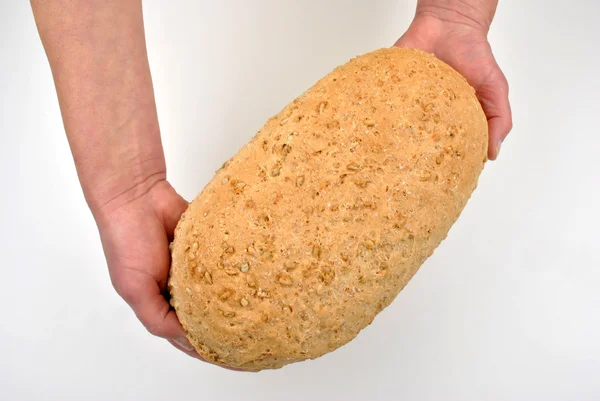 Pão caseiro orgânico assado — Fotografia de Stock