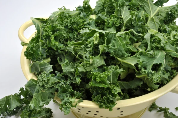Organic tender leaf curly kale — Stock Photo, Image