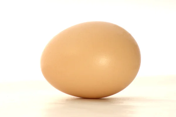 Un huevo de gallina — Foto de Stock