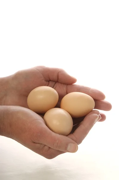 Some fresh eggs — Stock Photo, Image