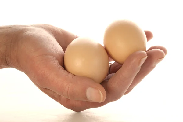 Some fresh eggs — Stock Photo, Image