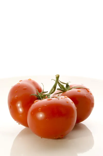 Drei frische Tomaten — Stockfoto