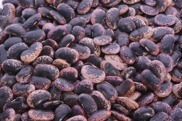 Syrové brusinky fazole připravena vařit — Stock fotografie