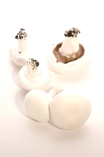 Fresh raw mushroom on a white background — Stock Photo, Image