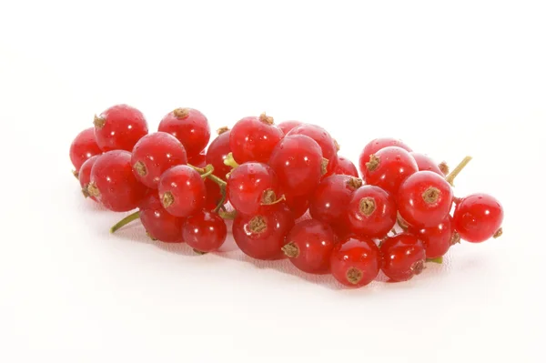 Grosella roja fresca sobre un fondo blanco —  Fotos de Stock