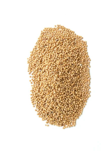 I semi di senape sono piccoli semi rotondi — Foto Stock