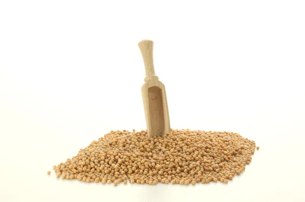 Las semillas de mostaza son pequeñas semillas redondas —  Fotos de Stock