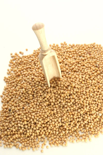 Las semillas de mostaza son pequeñas semillas redondas — Foto de Stock